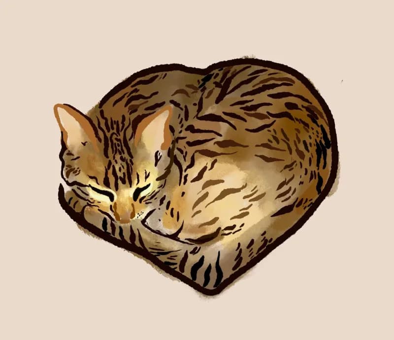 Illustration of a tabby cat curled up sleeping in a heart shape